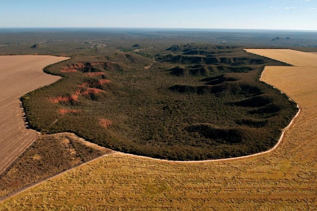 A imagem mostra uma foto aérea do desmatamento do Cerrado. A vegetação nativa e verde está sendo destruída para dar lugar aos pastos e plantações não nativas. A vegetação natural é verde, enquanto o campo desmatado é marrom claro, o que lembra a seca e a morte de um bioma.