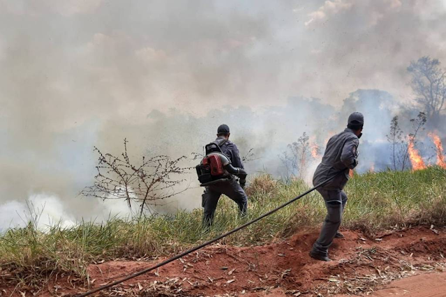 A imagem mostra dois homens que são bombeiros jogando água no fogo que estava destruindo a Estação. No céu, se vê muita fumaça cinza. E também é visível algumas árvores já destruídas.