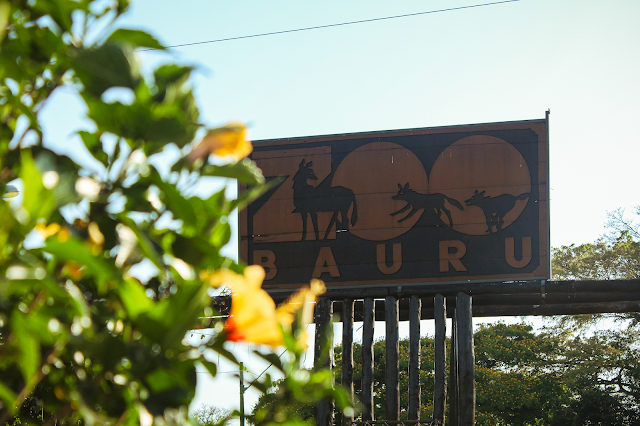 A imagem mostra a fachada do Zoológico Municipal de Bauru. No canto esquerdo, tem um ipê amarelo desfocado. Na fachada está desenhado na madeira a imagem de três lobos-guará.