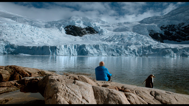 Cena do filme, com uma pessoa ao lado de pinguim observando uma geleira