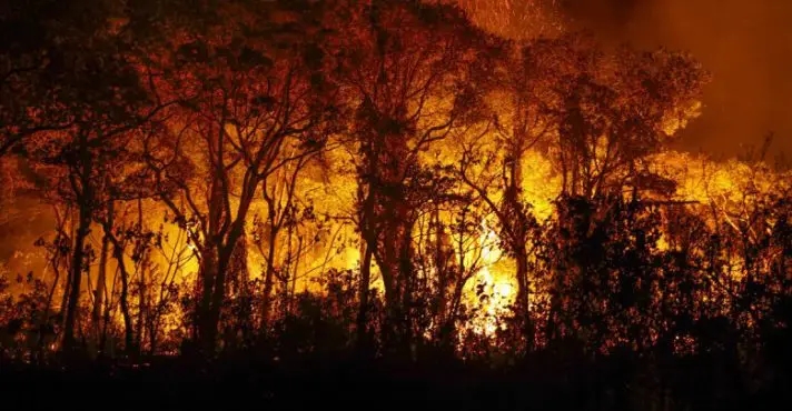 o Pantanal perdeu porções extensas do bioma durante o mês de novembro. Com mais de um milhão de hectares consumidos, os 3.957 focos de incêndio marcaram o novembro mais devastador em 21 anos. 
